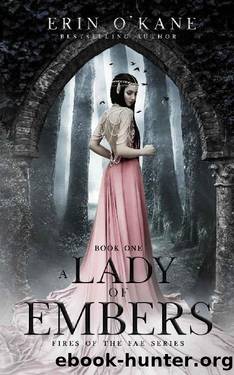 A Lady of Embers: Fires of the Fae series: Book One by Erin O'Kane
