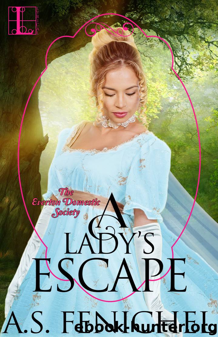 A Lady's Escape by A.S. Fenichel