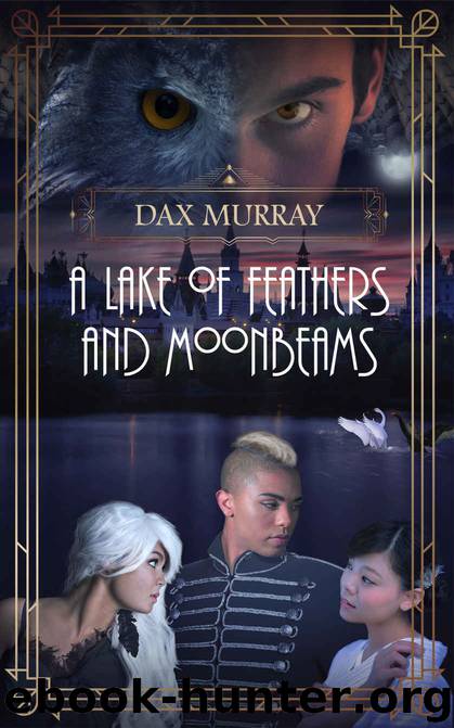A Lake of Feathers and Moonbeams by Dax Murray