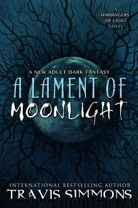 A Lament of Moonlight by Travis Simmons