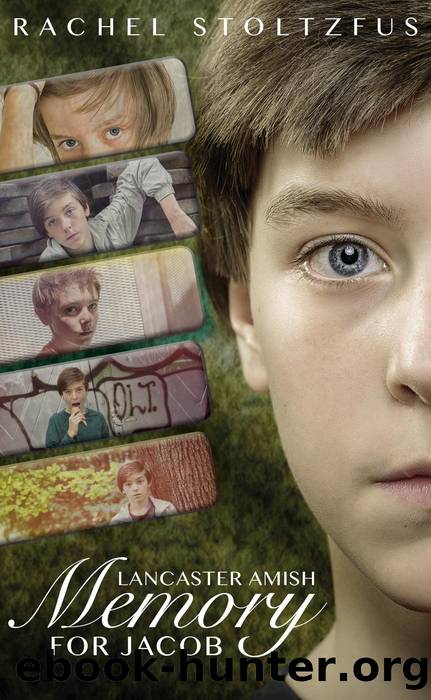 A Lancaster Amish Memory for Jacob by Rachel Stoltzfus