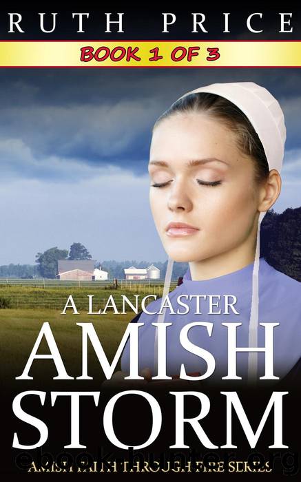 A Lancaster Amish Storm - Book 1 (A Lancaster Amish Storm (Amish Faith Through Fire), #1) by Ruth Price