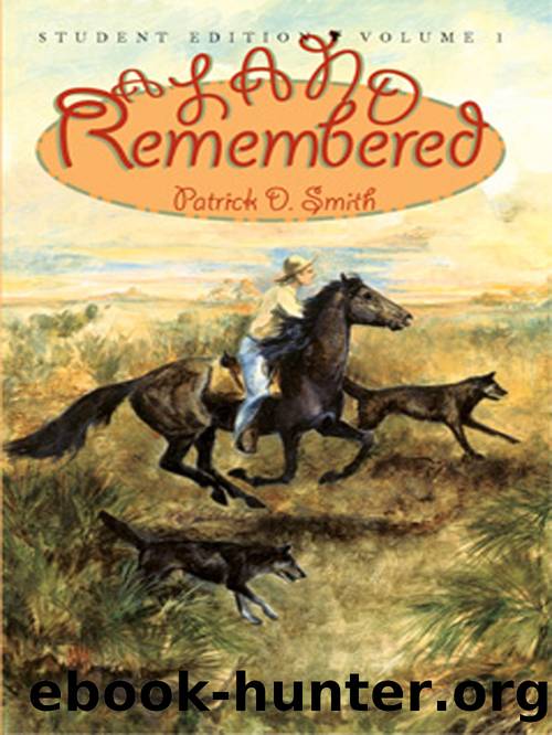A Land Remembered, Volume 1 by Patrick D Smith