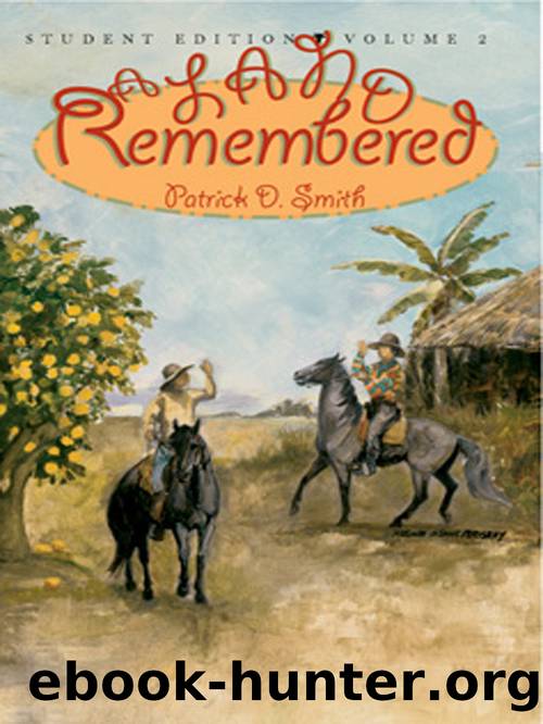 A Land Remembered, Volume 2 by Patrick D Smith