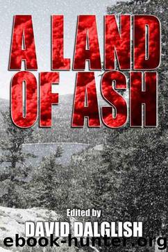 A Land of Ash by unknow