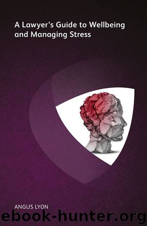 A Lawyer’s Guide to Wellbeing and Managing Stress by Angus Lyon