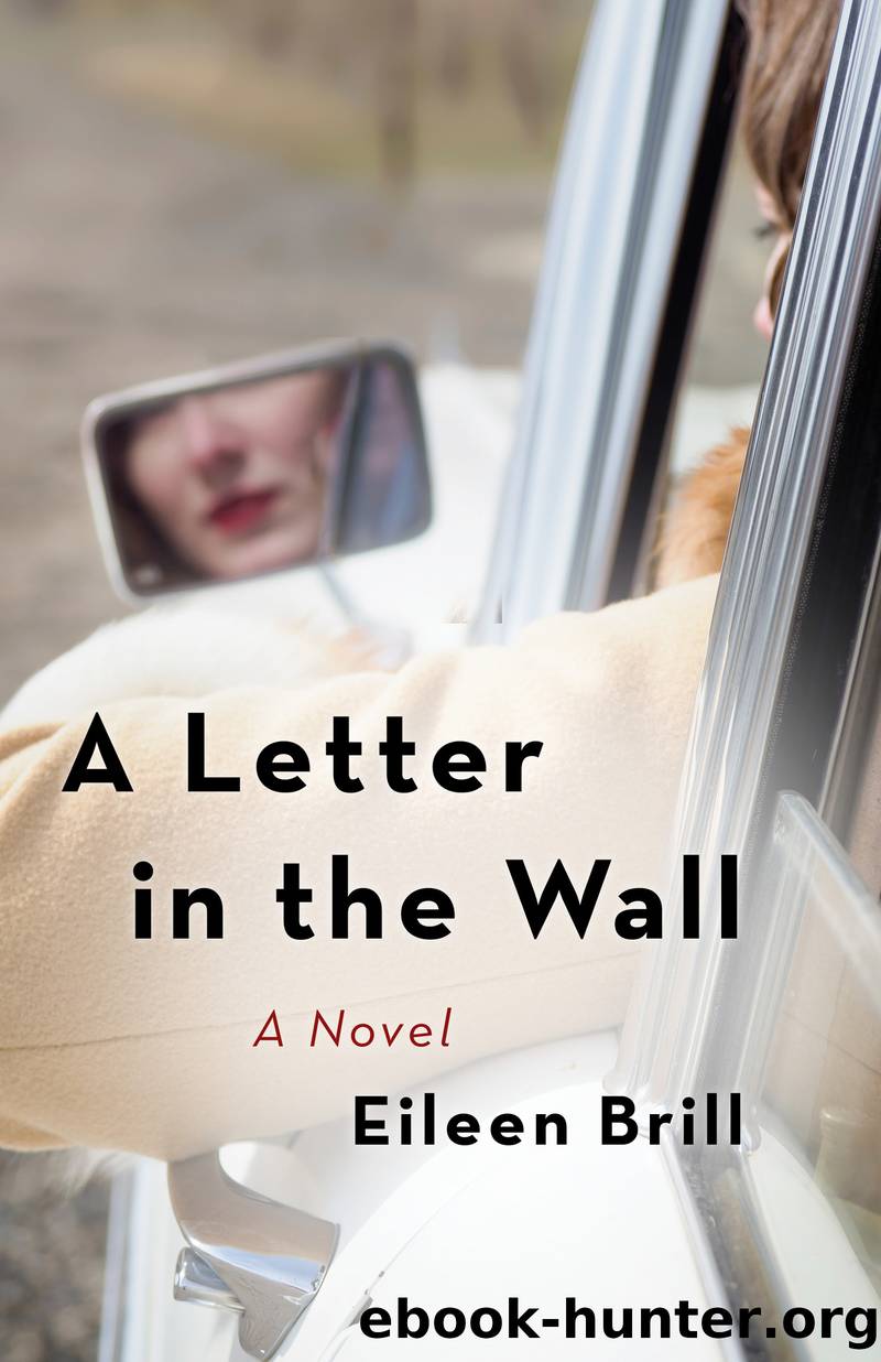 A Letter in the Wall by Eileen Brill