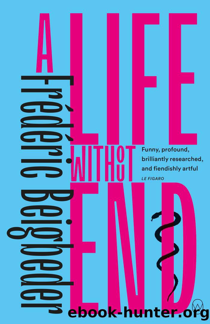 A Life Without End by Frédéric Beigbeder