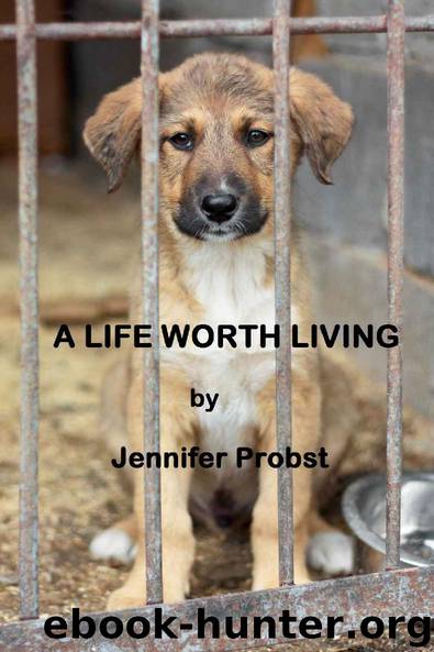 A Life Worth Living by Jennifer Probst