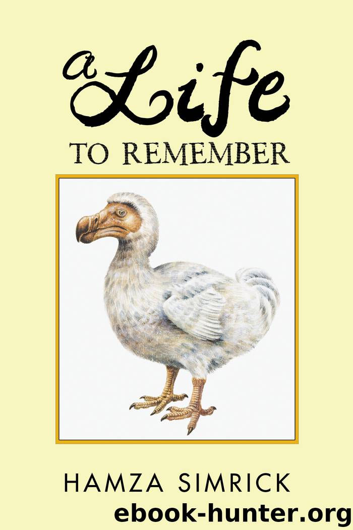 A Life to Remember by hamza simrick