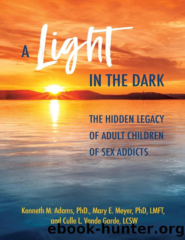 A Light in the Dark by Kenneth M. Adams