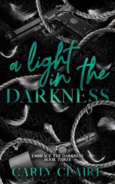 A Light in the Darkness (Embrace the Darkness Book 3) by Carly Claire
