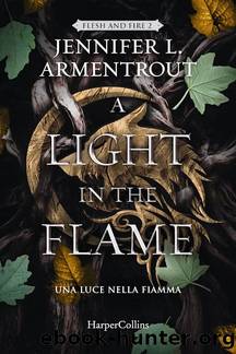 A Light in the Flame by Armentrout Jennifer L