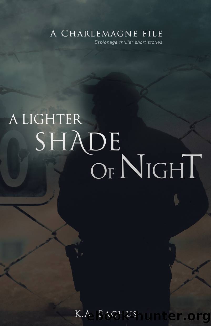 A Lighter Shade of Night by K. A. Bachus