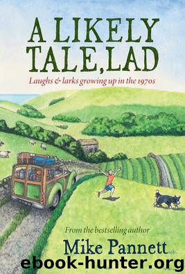 A Likely Tale, Lad by Mike Pannett