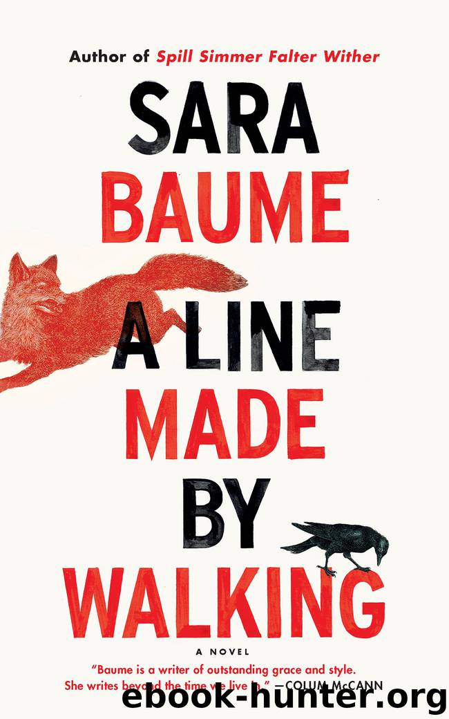 A Line Made by Walking