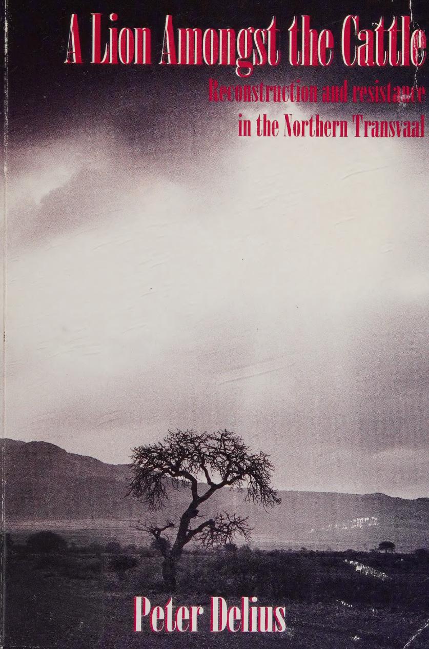 A Lion Amongst the Cattle: Reconstruction and Resistance in the Northern Transvaal by Peter Delius