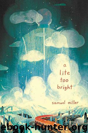 A Lite Too Bright by Samuel Miller