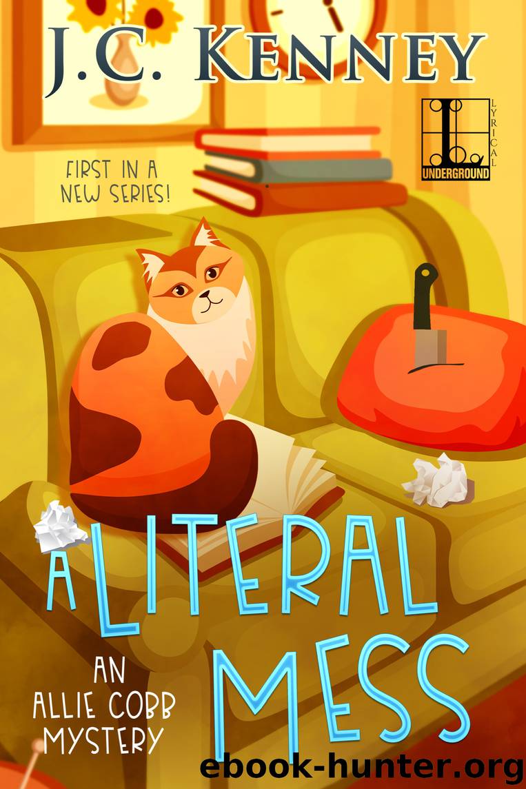 A Literal Mess by J.C. Kenney