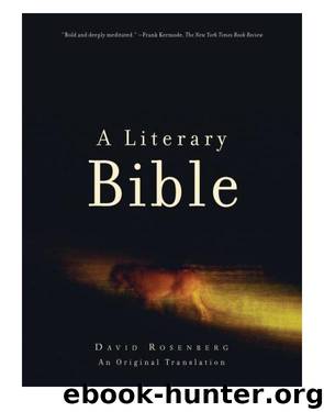 A Literary Bible by David Rosenberg