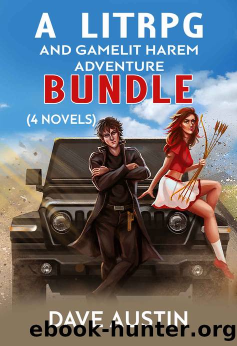 A Litrpg and Gamelit Harem Adventure Bundle: (4 Novels) by Dave Austin