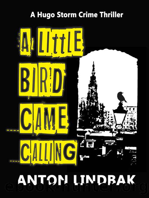 A Little Bird Came Calling by Anton Lindbak