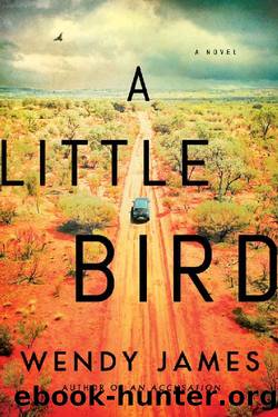 A Little Bird: A Novel by Wendy James