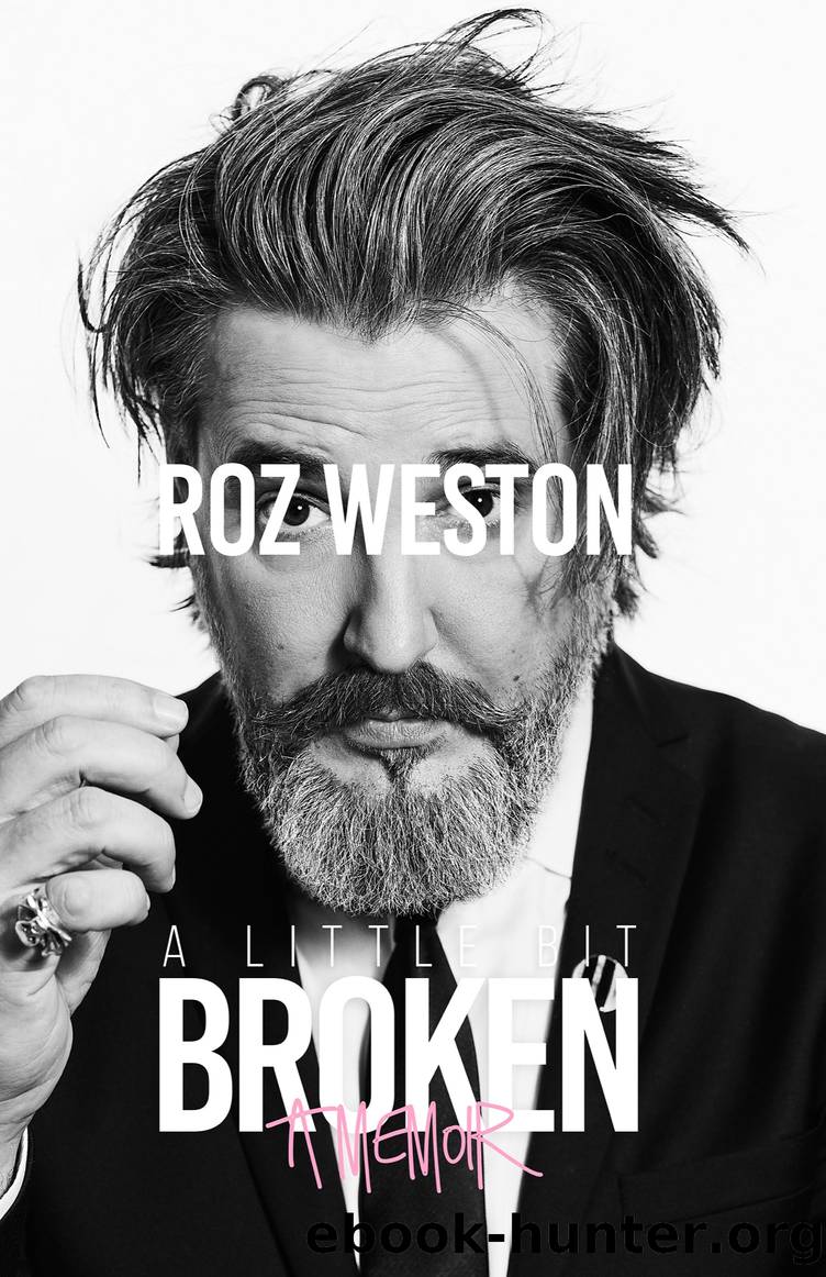 A Little Bit Broken by Roz Weston