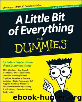A Little Bit of Everything For Dummies by John Wiley & Sons