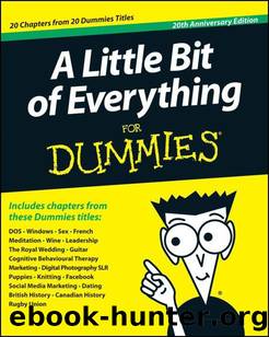 A Little Bit of Everything for Dummies by John Wiley & Sons