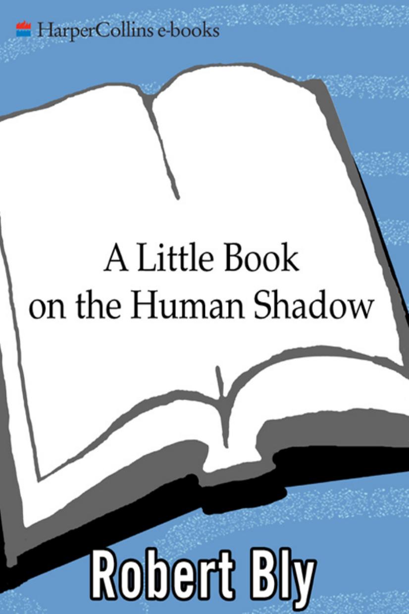 A Little Book on the Human Shadow by Robert Bly