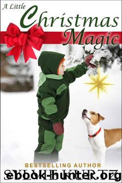 A Little Christmas Magic by Kurtz Sylvie