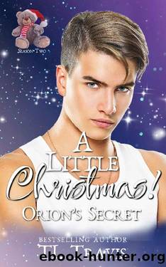 A Little Christmas: Orion's Secret: An MM Age Play Christmas Romance by TL Travis
