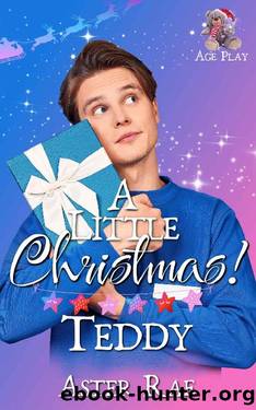 A Little Christmas: Teddy by Aster Rae