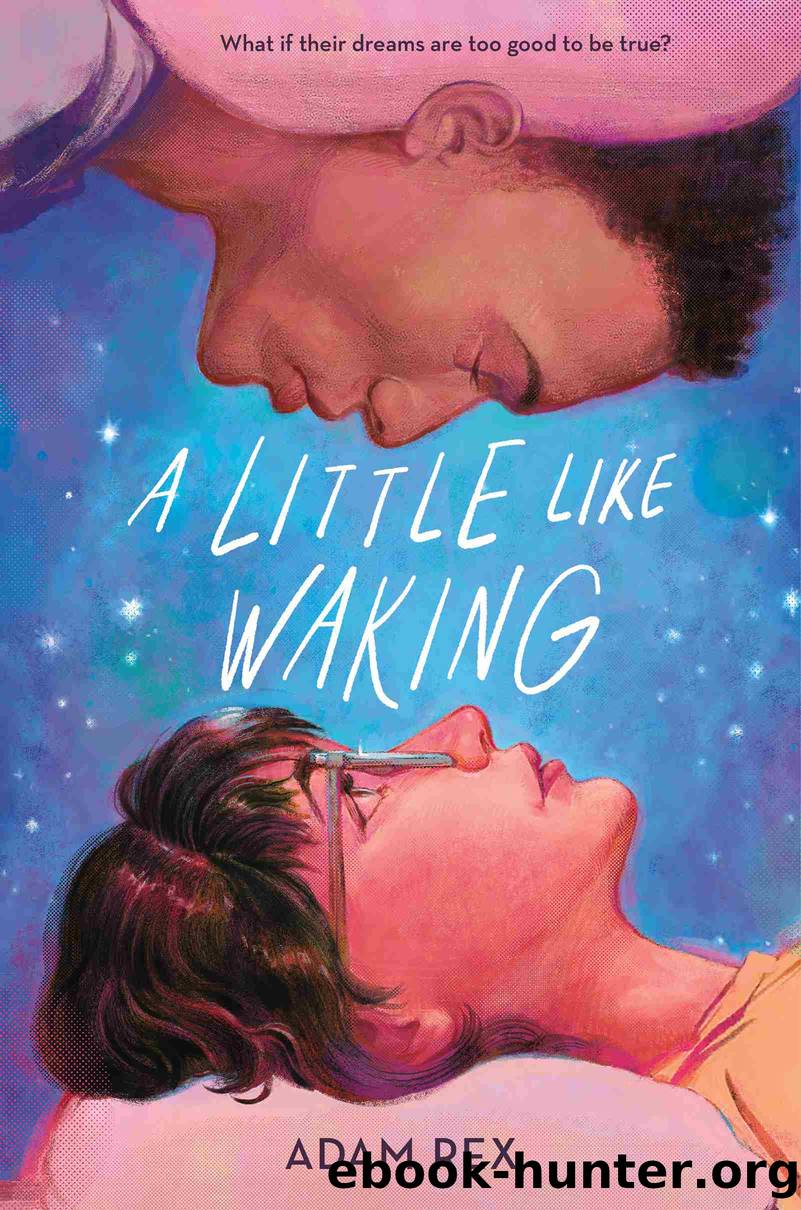 A Little Like Waking by Adam Rex