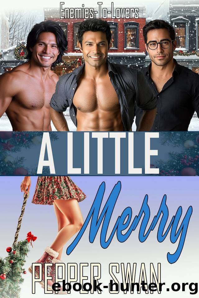 A Little Merry: An Enemies-To-Lovers Reverse Harem Romance (Small Town Lovers Book 9) by Pepper Swan