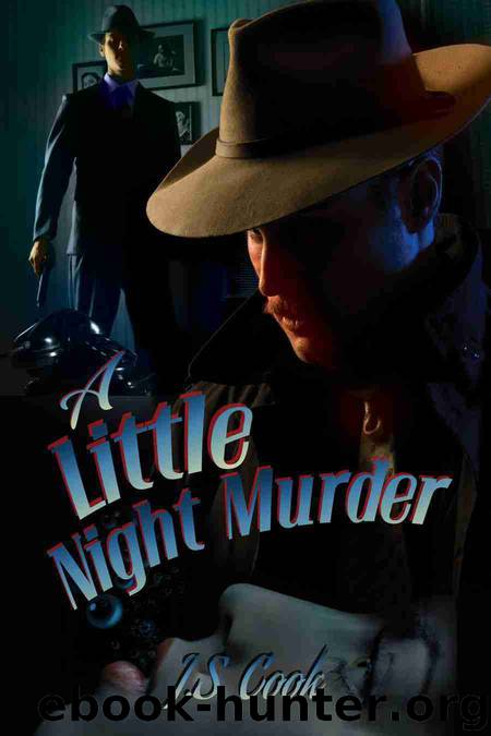 A Little Night Murder by J.S. Cook