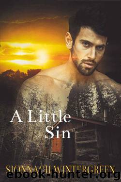 A Little Sin by Sionnach Wintergreen