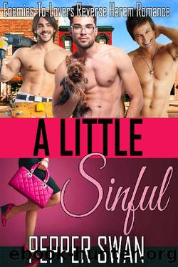 A Little Sinful: Enemies-To-Lovers Reverse Harem Romance (Small Town Lovers Book 1) by Pepper Swan