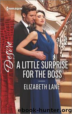 A Little Surprise for the Boss (Mills & Boon Desire) by Elizabeth Lane