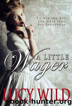 A Little Wager by Lucy Wild