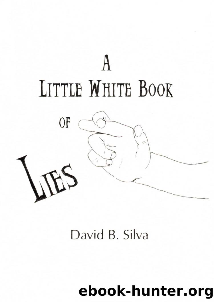 A Little White Book of Lies by David B Silva