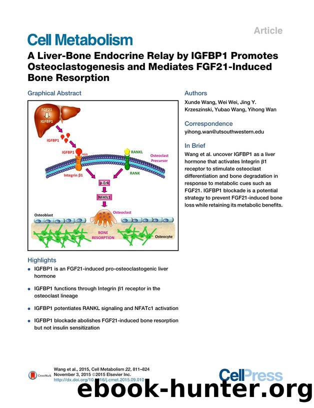 A Liver-Bone Endocrine Relay by IGFBP1 Promotes Osteoclastogenesis and Mediates FGF21-Induced Bone Resorption by Xunde Wang & Wei Wei & Jing Y. Krzeszinski & Yubao Wang & Yihong Wan