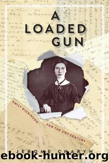 A Loaded Gun by Jerome Charyn