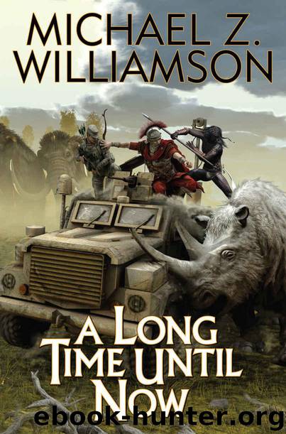 A Long Time Until Now (Temporal Displacement Series Book 1) by Williamson Michael Z