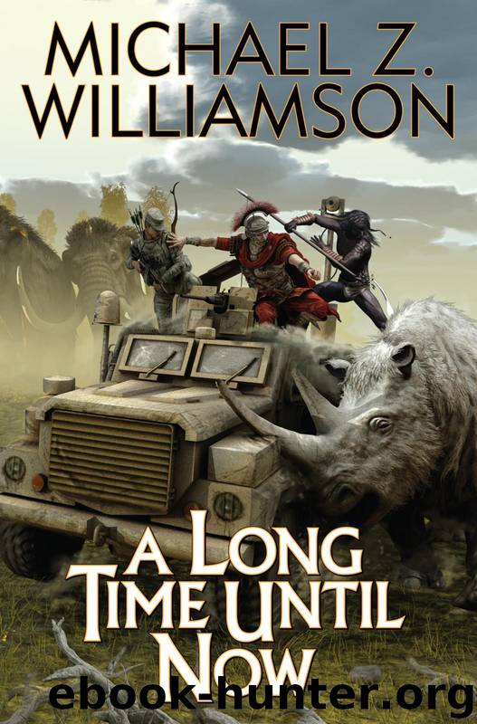 A Long Time Until Now by Williamson Michael Z