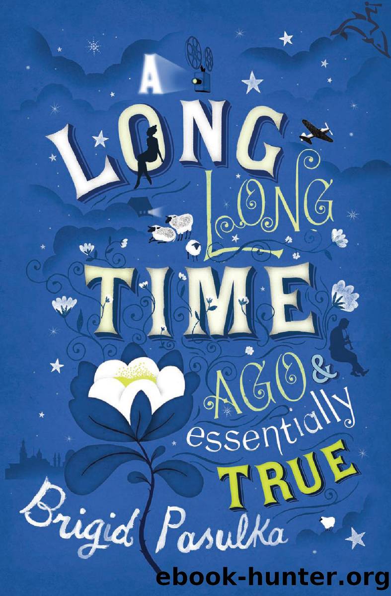 A Long, Long Time Ago Essentially True by Brigid Pasulka