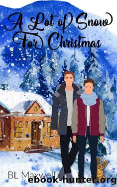 A Lot of Snow For Christmas by BL Maxwell