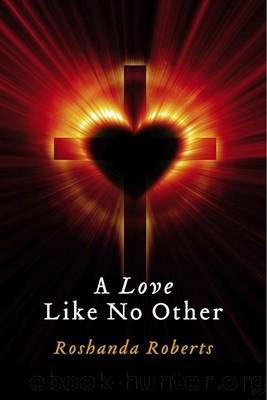 A Love Like No Other by Roshanda Roberts