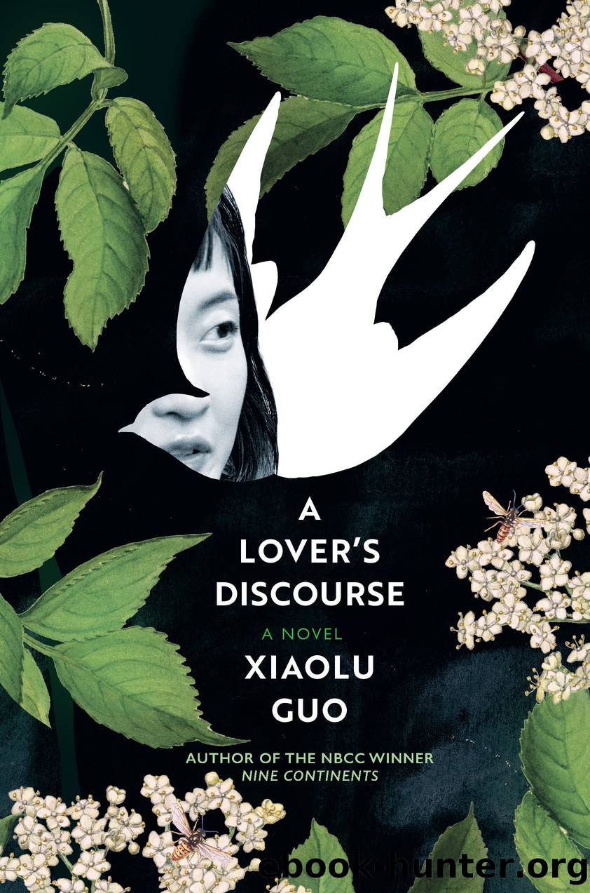 A Lover's Discourse by Xiaolu Guo